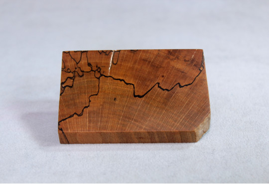 Stabilized Spalted Wood Mod Block